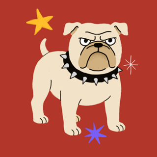 Buldogue - Coleção Meu Pet