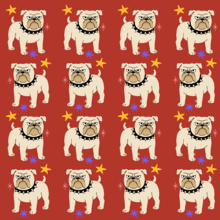 Buldogue - Coleção Meu Pet