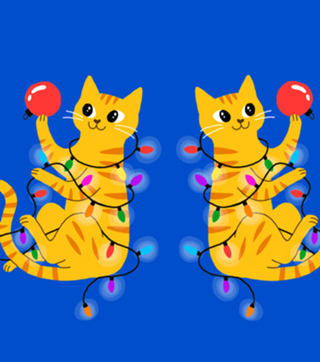 Gato de Natal