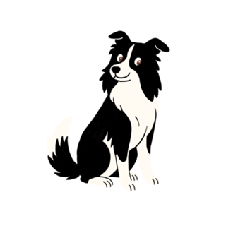Border Collie - Coleção Meu Pet