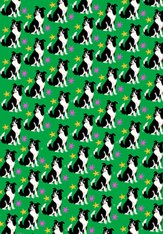 Border Collie - Coleção Meu Pet