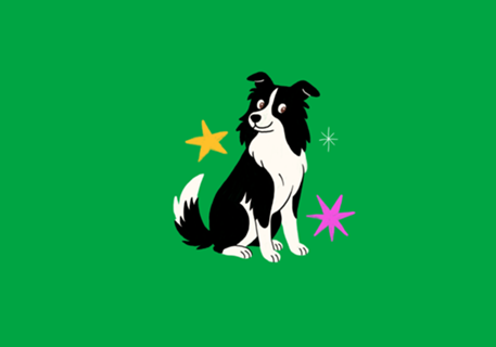 Border Collie - Coleção Meu Pet