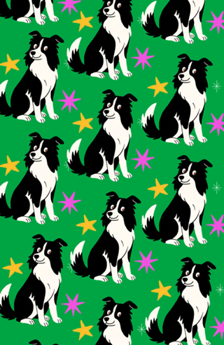 Border Collie - Coleção Meu Pet