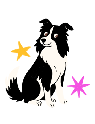 Border Collie - Coleção Meu Pet