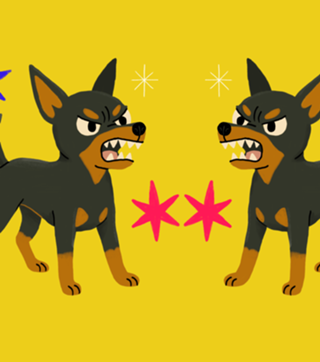 Pinscher - Coleção Meu Pet