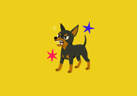 Pinscher - Coleção Meu Pet
