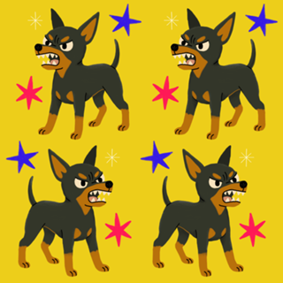 Pinscher - Coleção Meu Pet