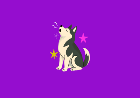 Husky Siberiano - Coleção Meu Pet