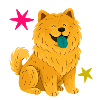Chow Chow - Coleção Meu Pet