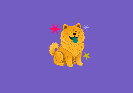 Chow Chow - Coleção Meu Pet