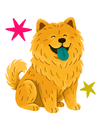Chow Chow - Coleção Meu Pet