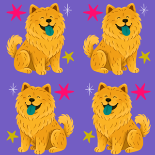 Chow Chow - Coleção Meu Pet