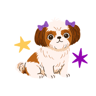 Shih Tzu - Coleção Meu Pet