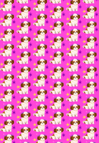 Shih Tzu - Coleção Meu Pet