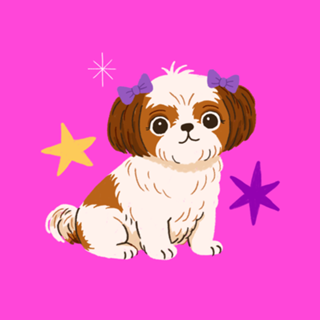 Shih Tzu - Coleção Meu Pet
