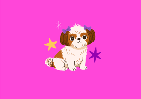 Shih Tzu - Coleção Meu Pet