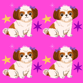 Shih Tzu - Coleção Meu Pet