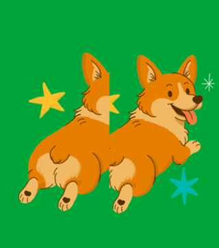Corgi - Coleção Meu Pet