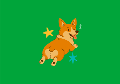 Corgi - Coleção Meu Pet