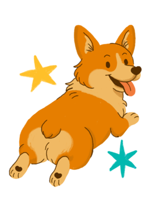 Corgi - Coleção Meu Pet