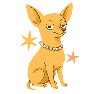 Chihuahua (de pelo curto) - Coleção Meu Pet