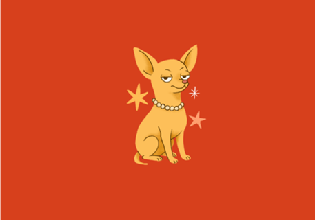 Chihuahua (de pelo curto) - Coleção Meu Pet