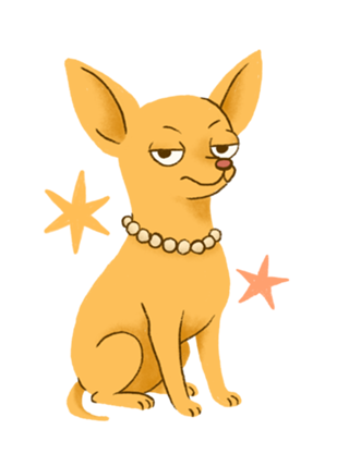Chihuahua (de pelo curto) - Coleção Meu Pet