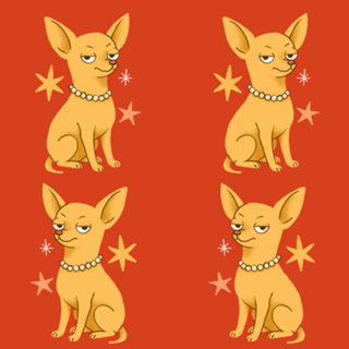 Chihuahua (de pelo curto) - Coleção Meu Pet