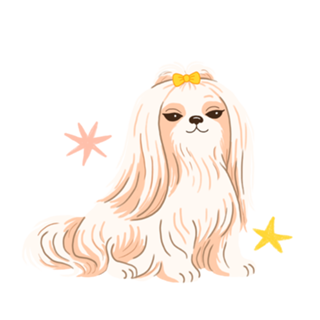 Lhasa apso - Coleção Meu Pet