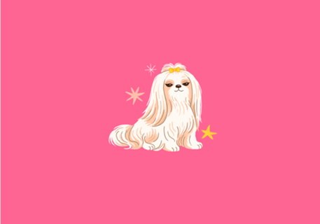 Lhasa apso - Coleção Meu Pet