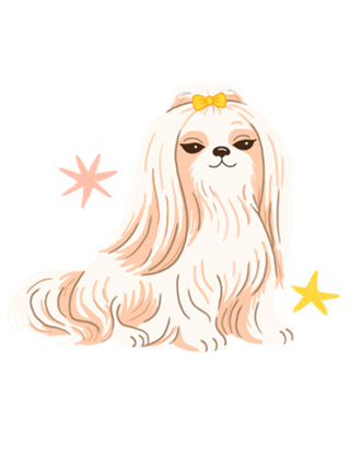Lhasa apso - Coleção Meu Pet