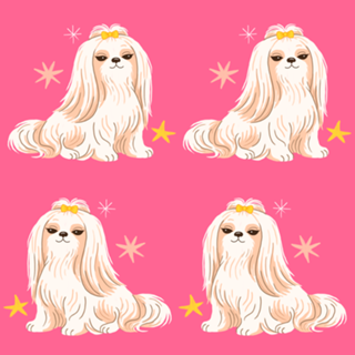 Lhasa apso - Coleção Meu Pet