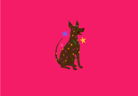 Xoloitzcuintle (cão sem pelo) - Coleção Meu Pet