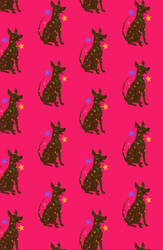 Xoloitzcuintle (cão sem pelo) - Coleção Meu Pet