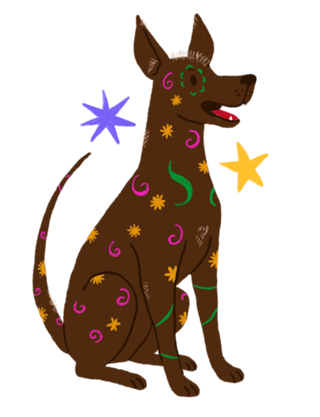 Xoloitzcuintle (cão sem pelo) - Coleção Meu Pet