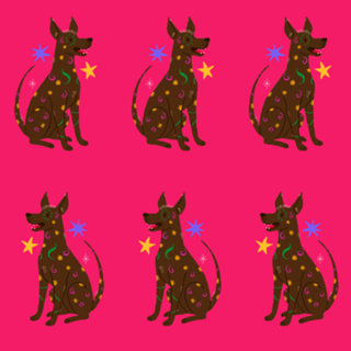 Xoloitzcuintle (cão sem pelo) - Coleção Meu Pet