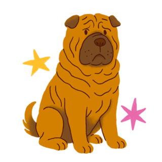 Shar Pei - Coleção Meu Pet
