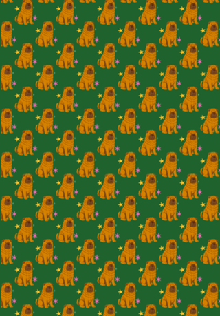 Shar Pei - Coleção Meu Pet