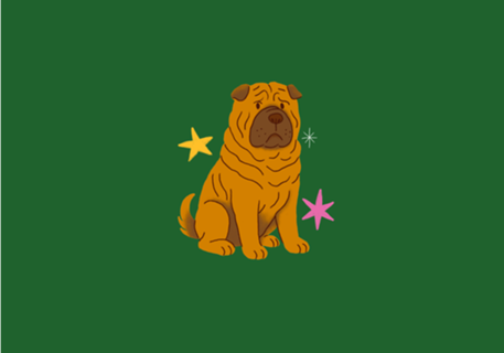 Shar Pei - Coleção Meu Pet