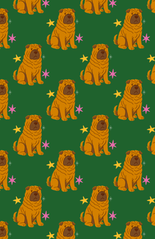 Shar Pei - Coleção Meu Pet