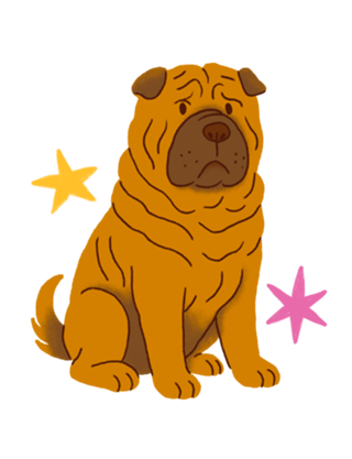 Shar Pei - Coleção Meu Pet