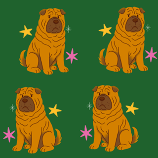 Shar Pei - Coleção Meu Pet