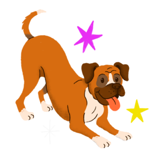 Boxer - Coleção Meu Pet