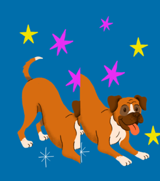 Boxer - Coleção Meu Pet