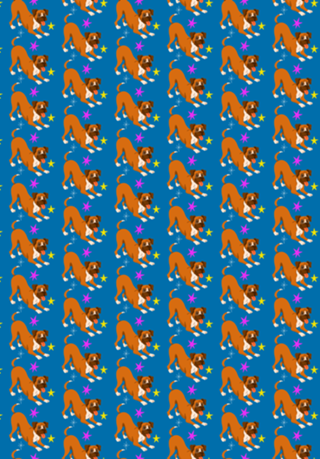Boxer - Coleção Meu Pet