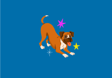 Boxer - Coleção Meu Pet