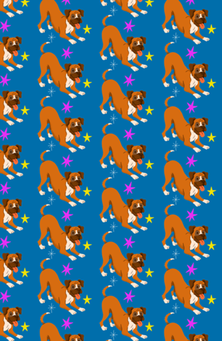 Boxer - Coleção Meu Pet
