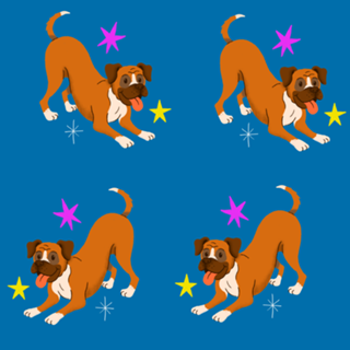 Boxer - Coleção Meu Pet