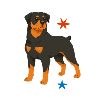 Rottweiler - Coleção Meu Pet