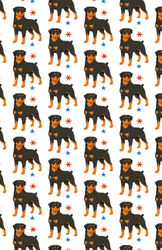 Rottweiler - Coleção Meu Pet